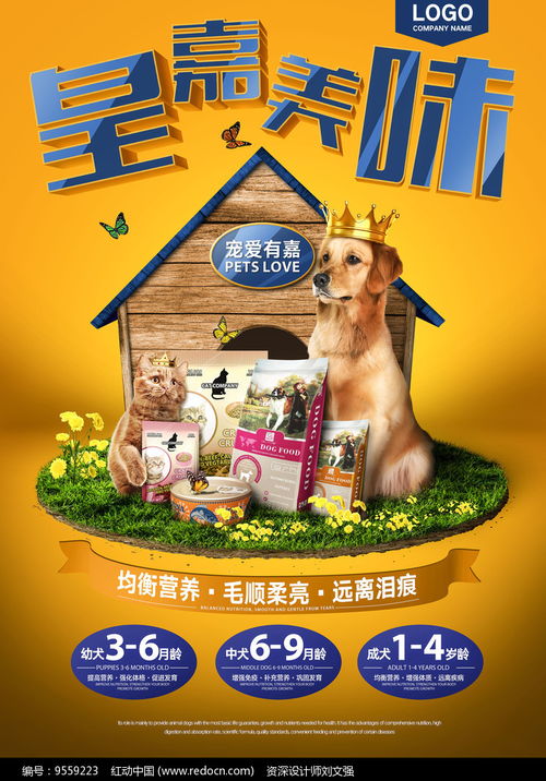 “食”刻關愛，科技賦能——寵物食品促銷與技術服務雙贏盛會